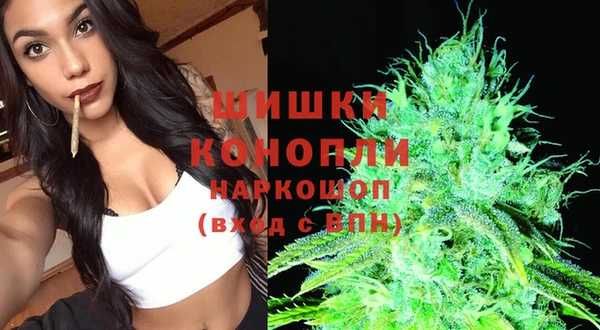 сатива Волоколамск