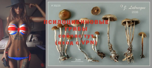 бошки Вязники