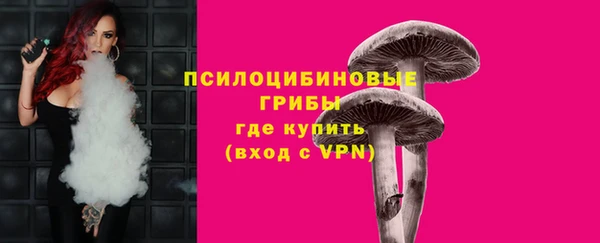 сатива Волоколамск
