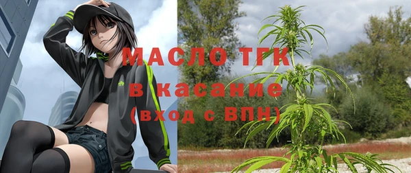 индика Вязьма