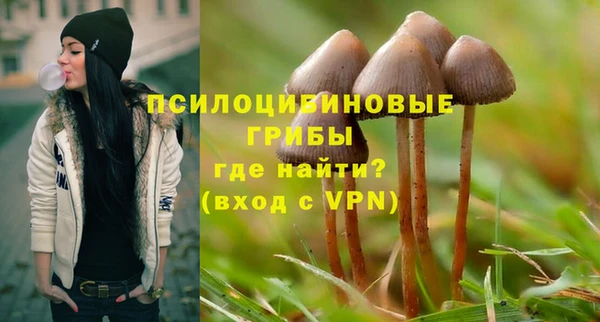сатива Волоколамск