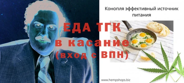 индика Вязьма